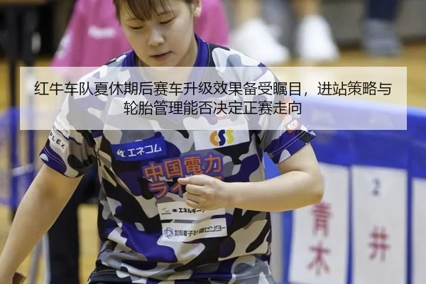 红牛车队夏休期后赛车升级效果备受瞩目，进站策略与轮胎管理能否决定正赛走向